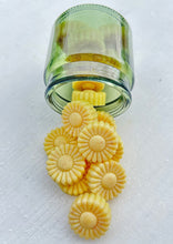 Load image into Gallery viewer, Citrus Bath Melts