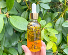 Load image into Gallery viewer, Vanilla Lavender Body Oil