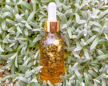 Load image into Gallery viewer, Vanilla Lavender Body Oil