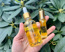 Load image into Gallery viewer, Cucumber Cactus Eye & Face Serum