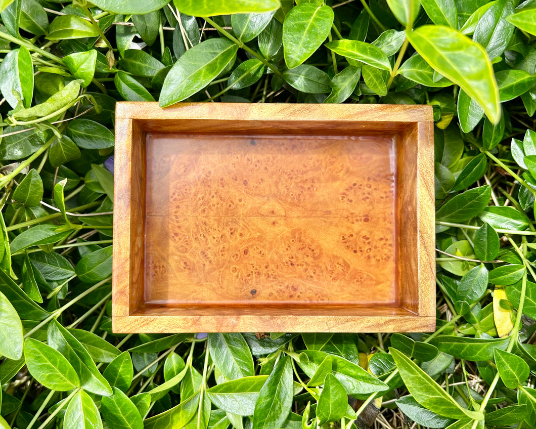 Big Leaf Maple Marble Burl Wood