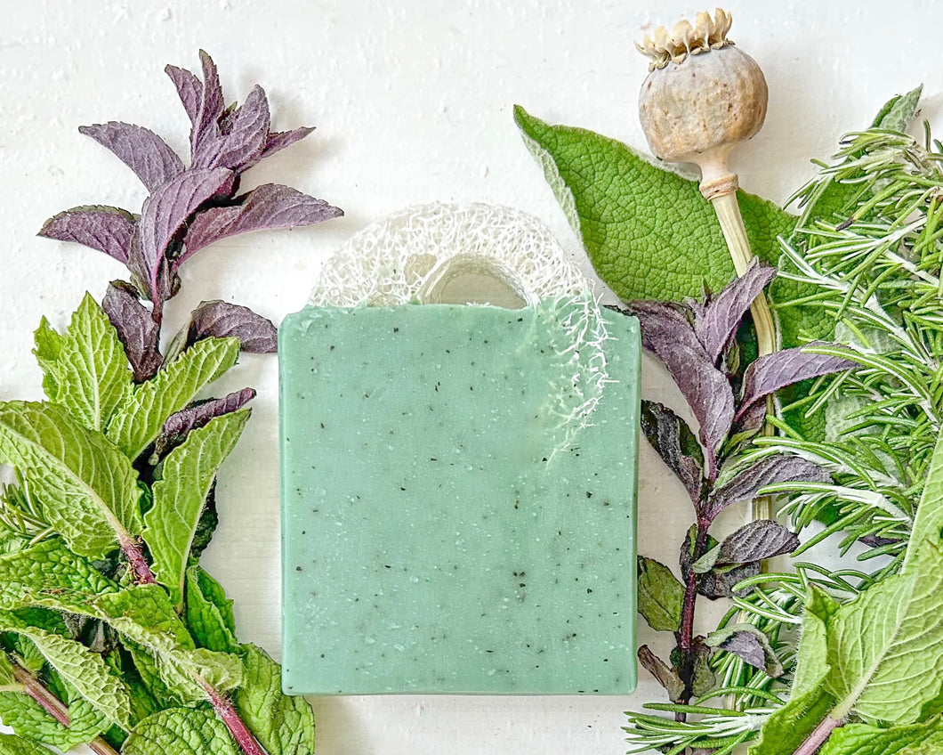 Eucalyptus Mint Loofah Bar