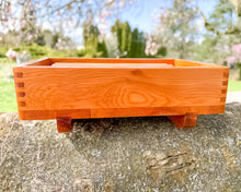 Load image into Gallery viewer, Pacific Yew Soap Dish
